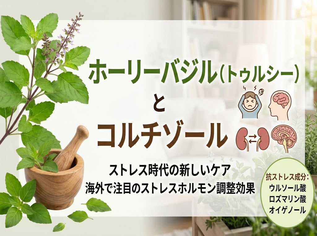 ストレスとトゥルシー（ホーリーバジル