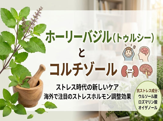 ストレスとトゥルシー（ホーリーバジル