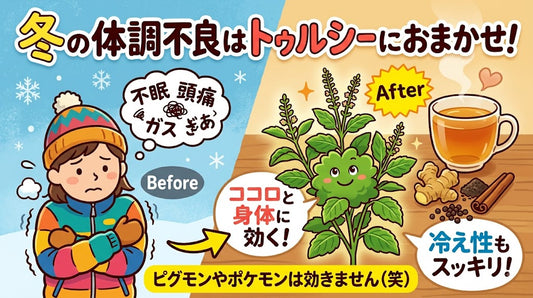 トゥルシー（ホーリーバジル）の効果について　その２