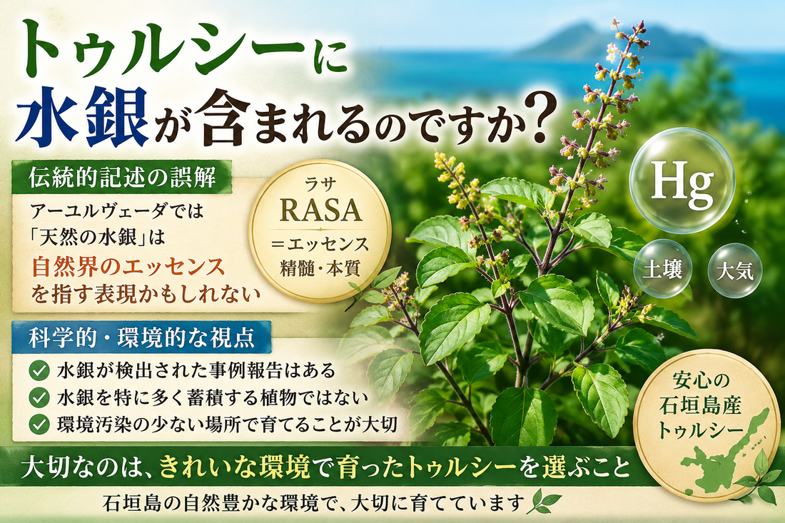 トゥルシーには水銀が含まれる？というお話 　