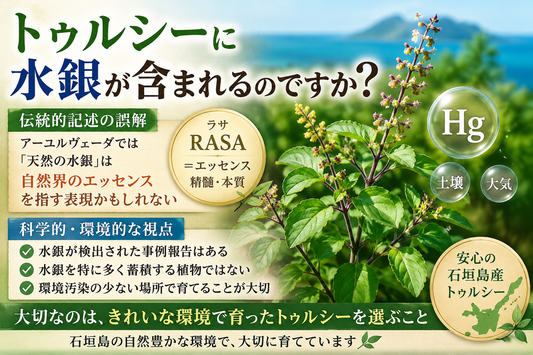 トゥルシーには水銀が含まれる？というお話 　