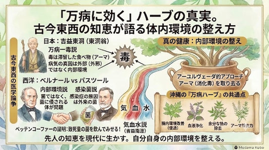 万病に効くハーブの話　　 その１