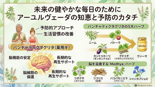 認知症予防に役立つハーブの知恵