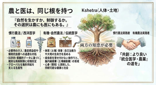 万病に効くハーブの話　　その2