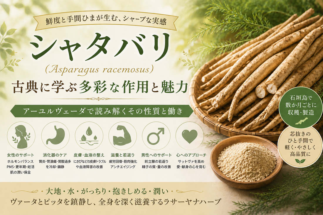 シャタバリとアーユルヴェーダの薬草学