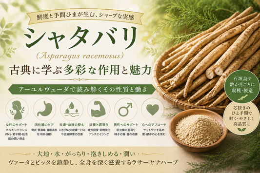 シャタバリとアーユルヴェーダの薬草学