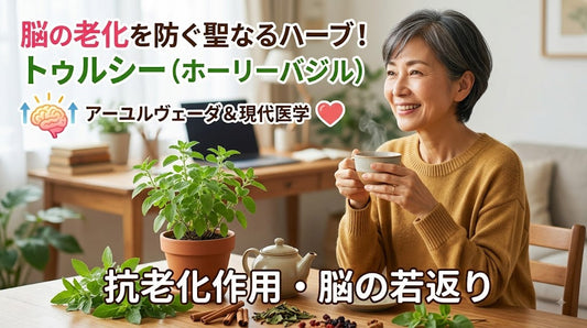脳の老化とトゥルシー（ホーリーバジル）