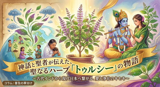 トゥルシー（ホーリーバジル）の物語