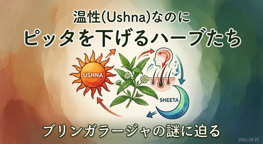 温性（ウシュナ）なのにピッタを下げるハーブたち