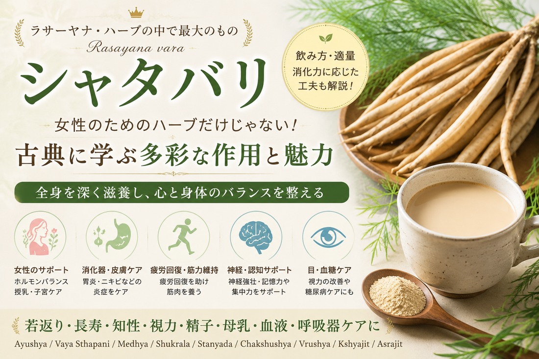 シャタバリは女性のためのハーブ？　薬草学２